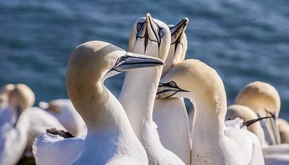 开云注册-鲁尔区德比迎来高能比赛，鲁尔区德比体育市场化