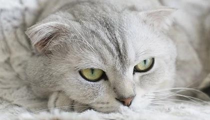 开云注册-鲁尔区德比迎来高能比赛，鲁尔区德比体育市场化